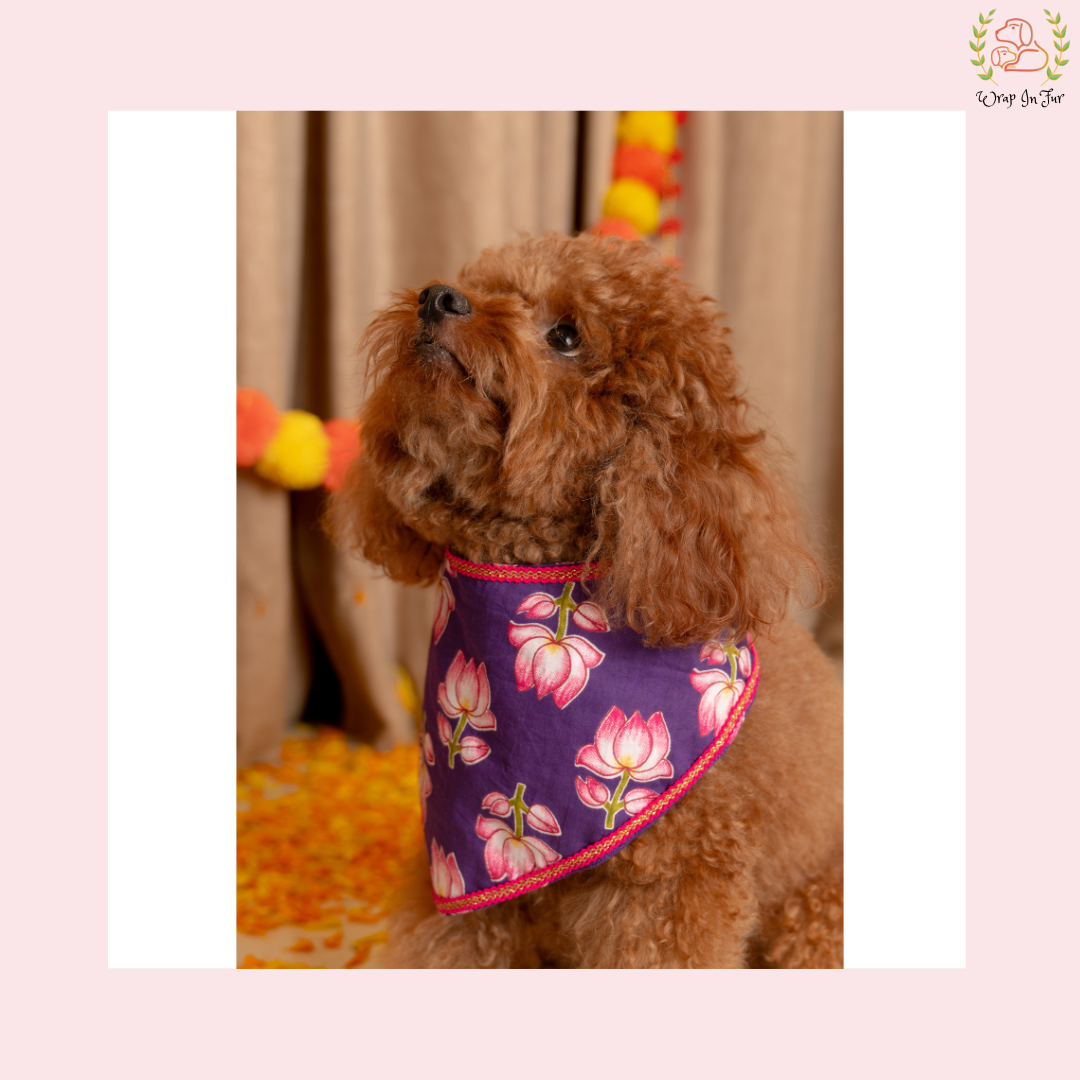 Purple Lotus Desi Dog Bandana