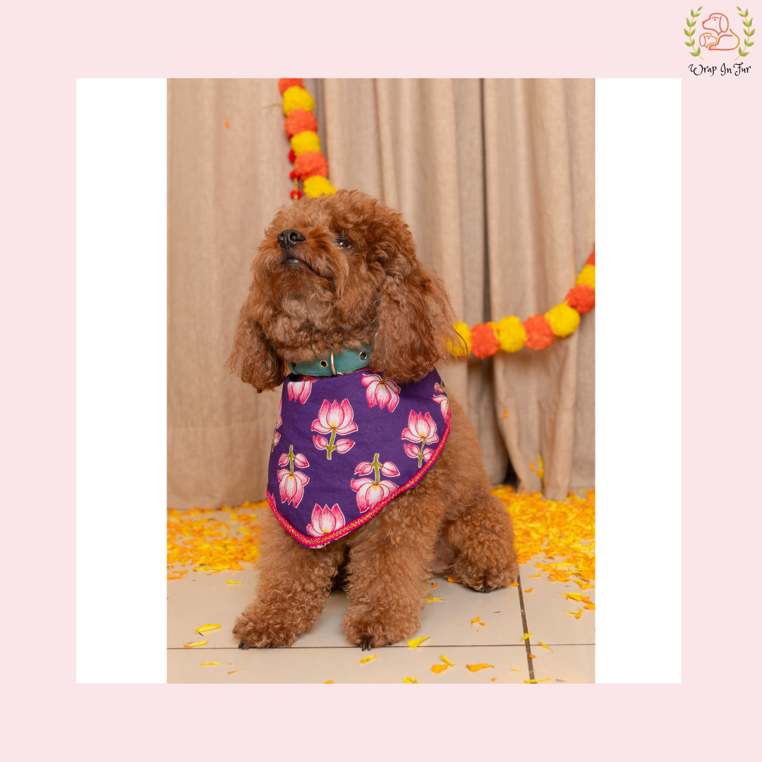 Purple Lotus Desi Dog Bandana