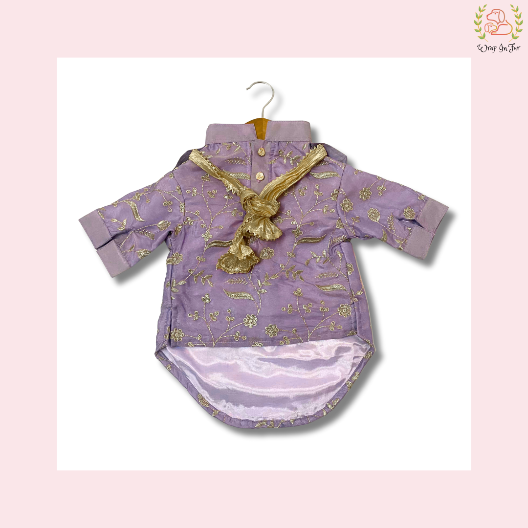 Purple Embroidered Dog Kurta - Royal Indian Dog Ethnic Wear Dress