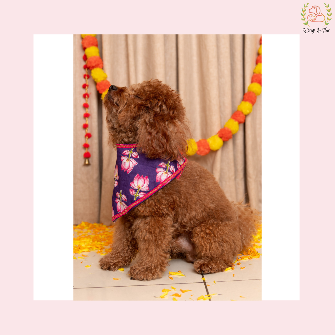 Purple Lotus Desi Dog Bandana
