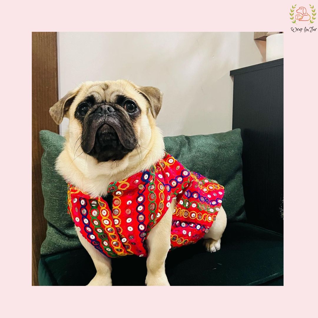 Red Multicolor Jacket