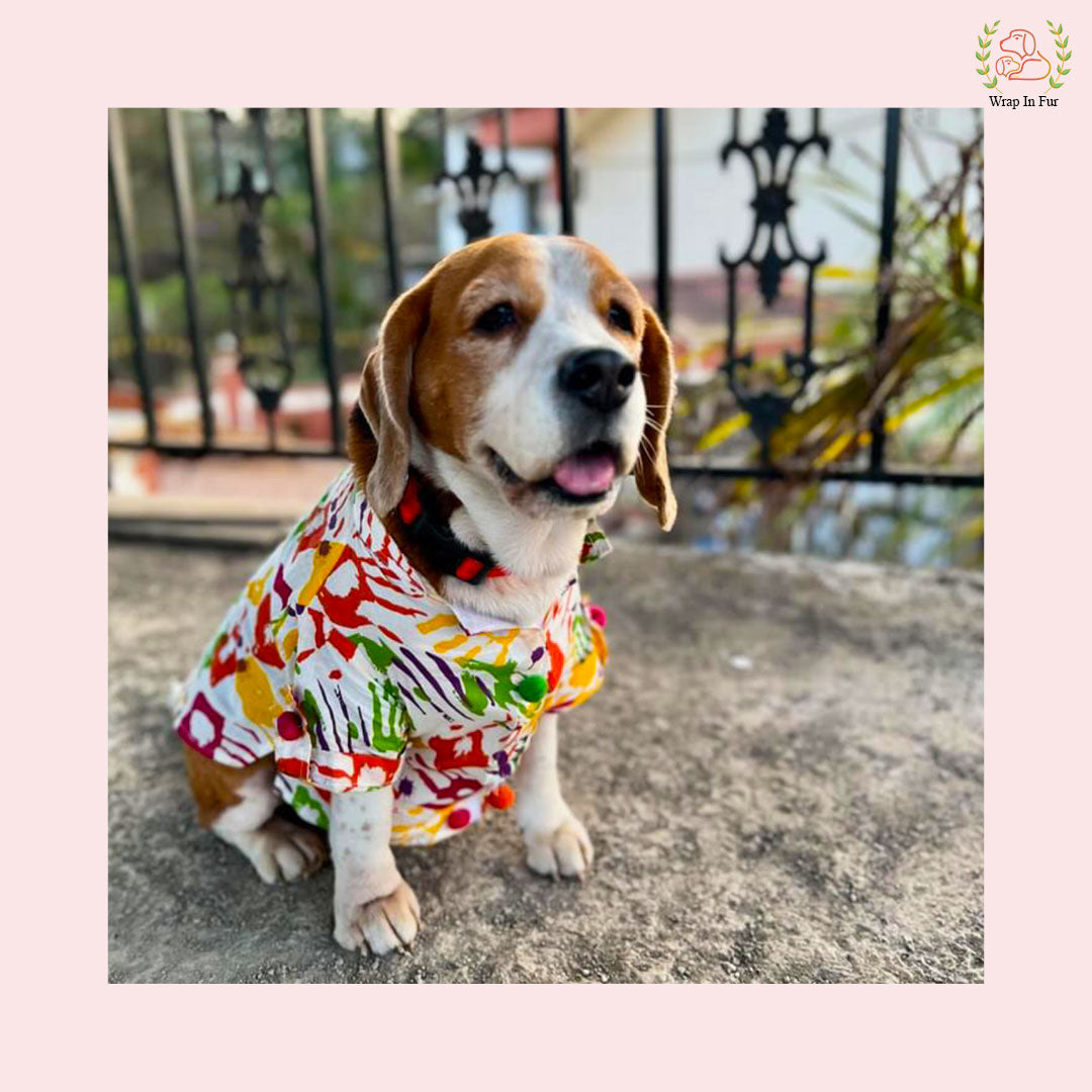 Rang Barse Multi-Color Paint Splash Dog Kurta - Indian Dog Ethnic Wear