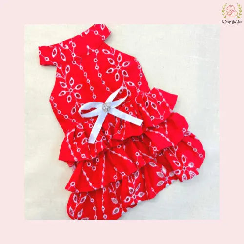 female dog birthday dress available in Delhi India