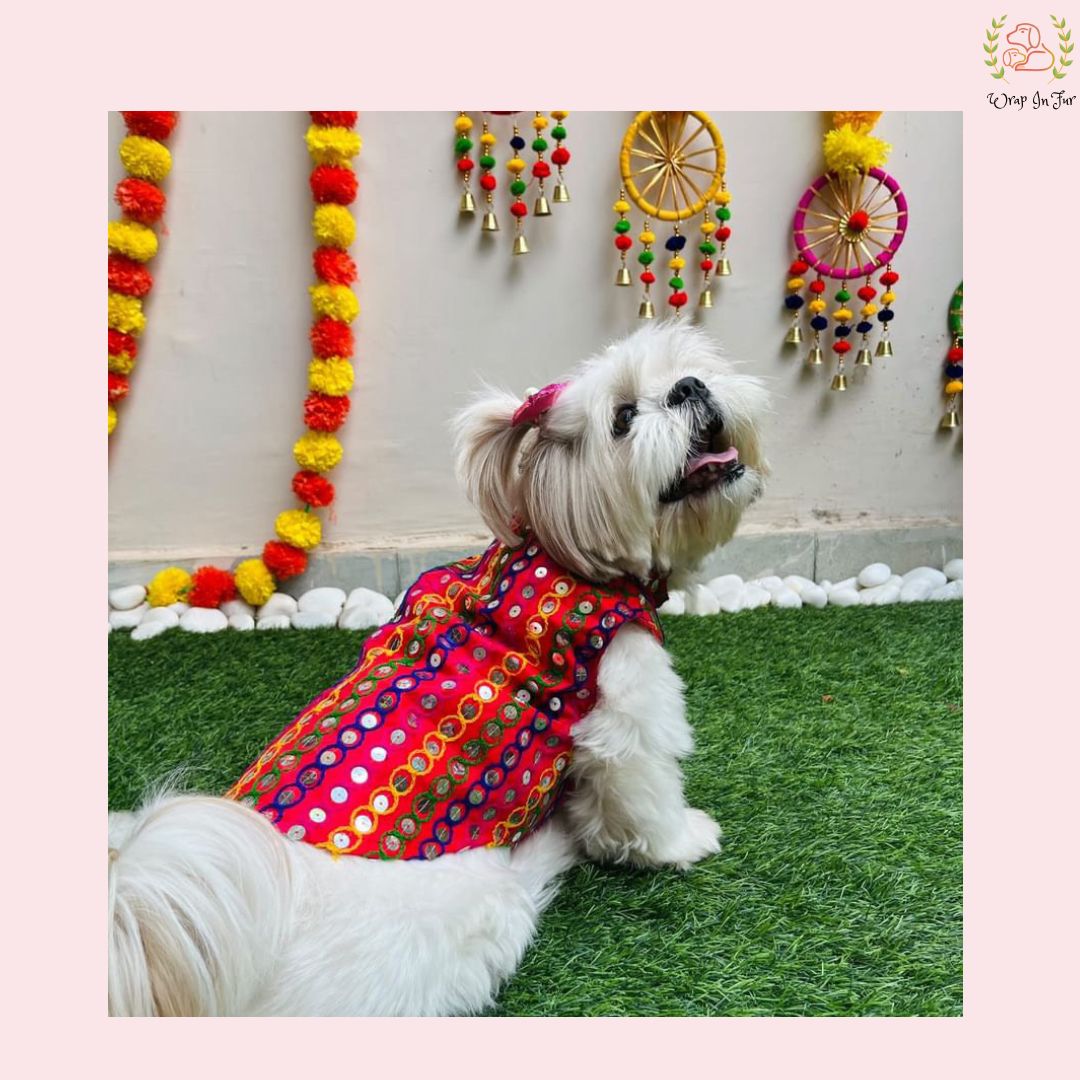 shihtzu dog red festive jacket