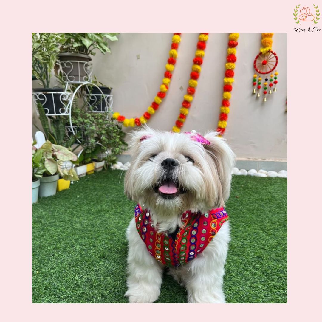 Red Multicolor Jacket