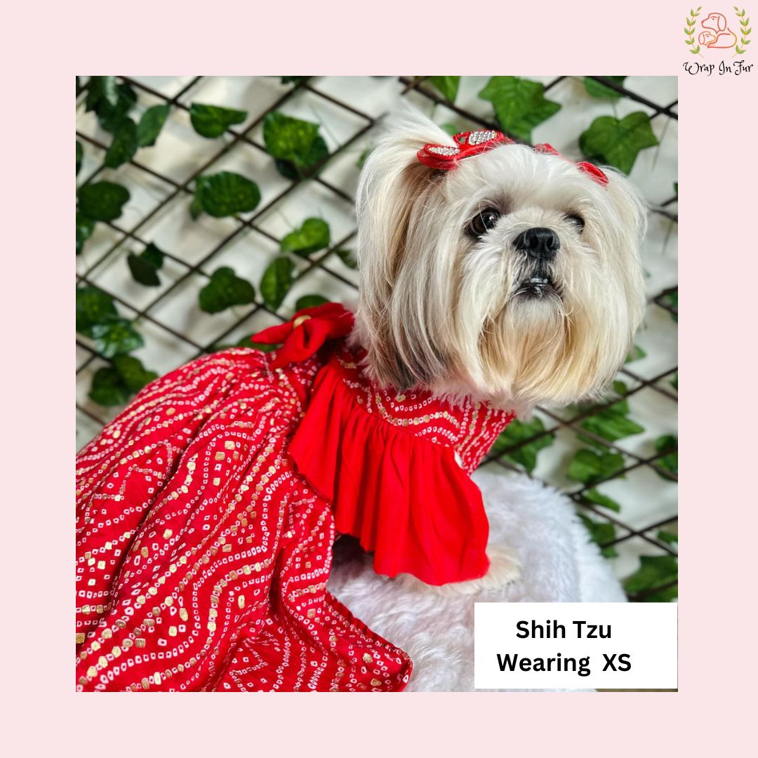 open lace back dress Red Ethnic Dog Frock Dress