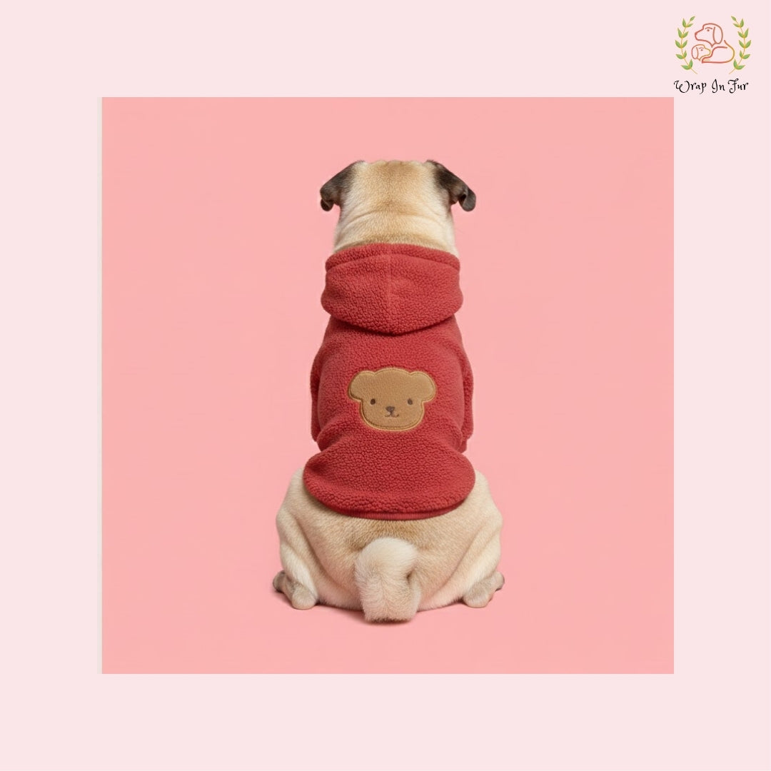 Red Teddy Dog Hoodie – Ultra Soft Winter Wear for Dogs