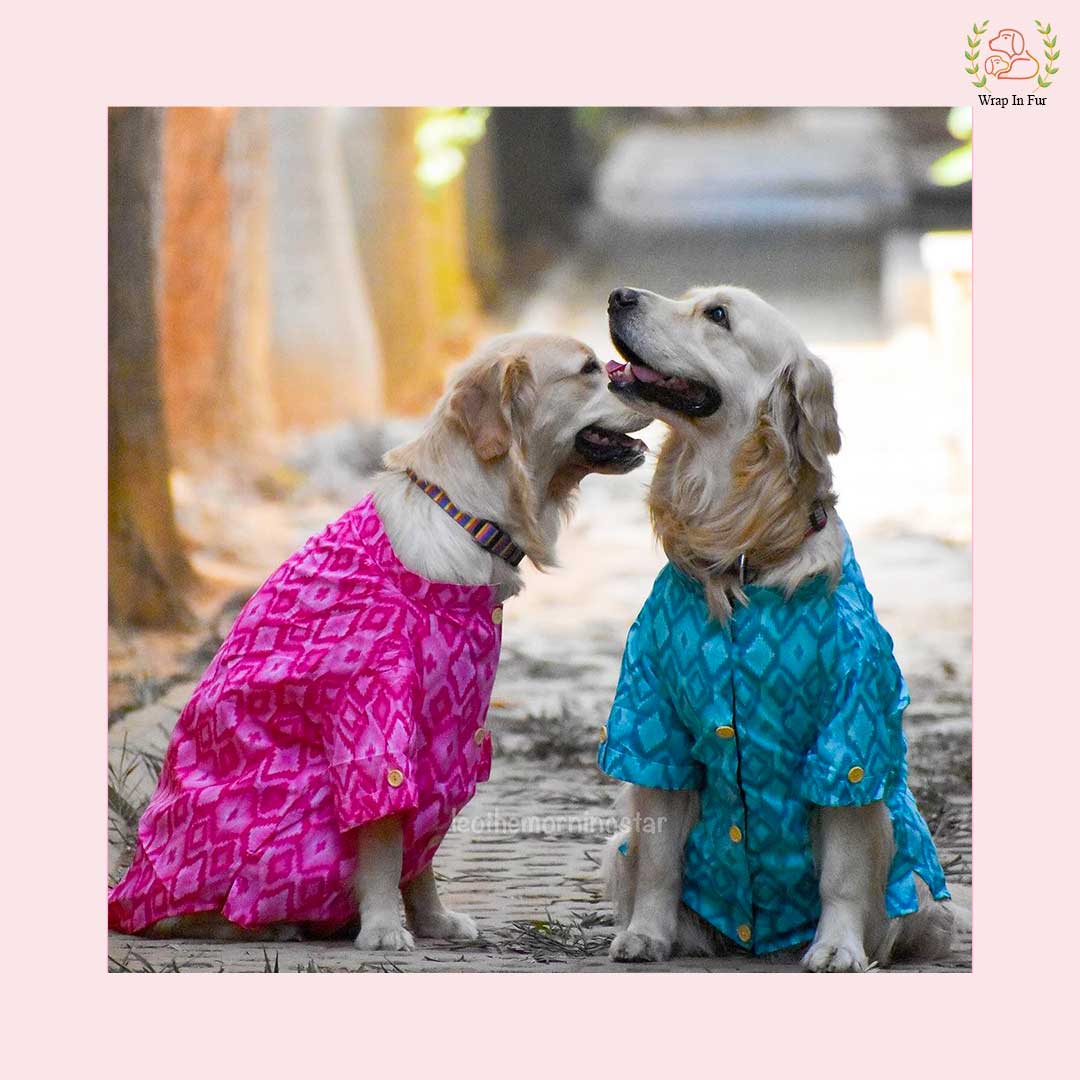 Retriever pink blue dog kurta