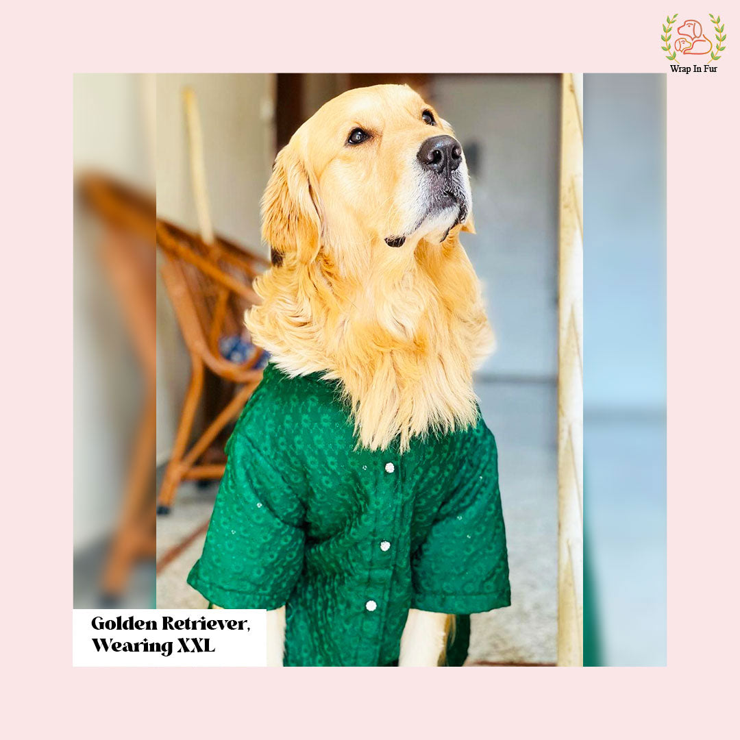 Royal Green Chikankari Dog Kurta - Premium Dog Ethnic Wear