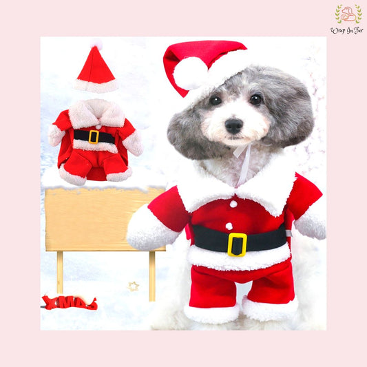 Santa Dog Suit