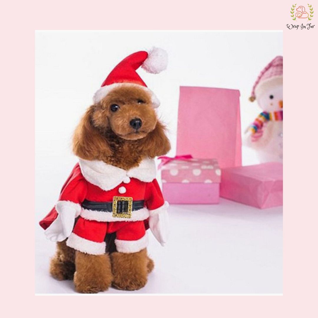 Santa Dog Suit
