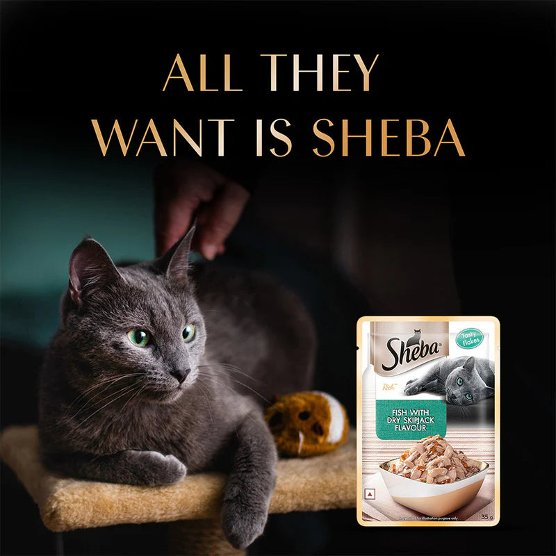 Sheba Fish with Dry Skipjack Flakes Wet Cat Food for Adult Cats | 35g Pouch