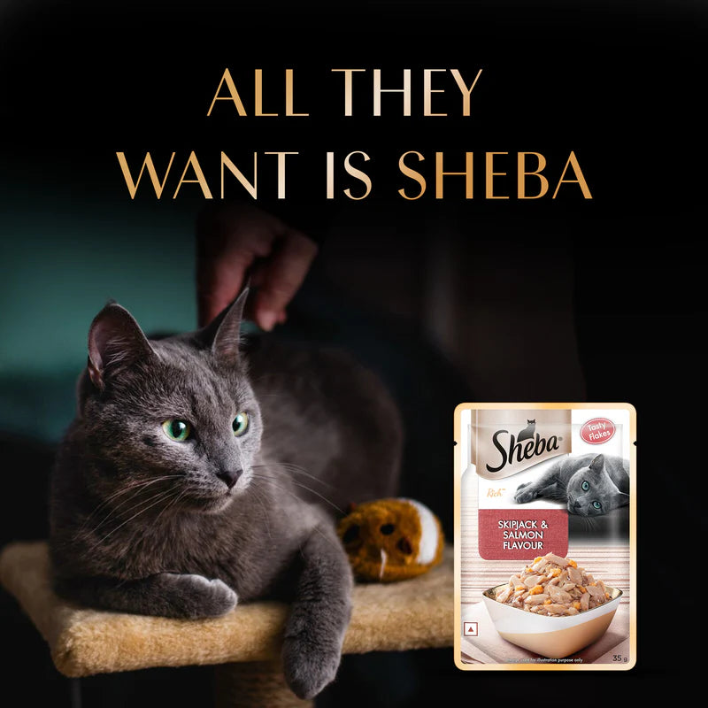 Sheba Skipjack & Salmon Flavour Wet Cat Food for Adult Cats | 35g Pouch