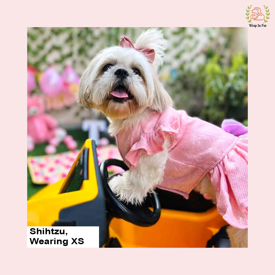 Shihtzu Pink Fairy dog Gown