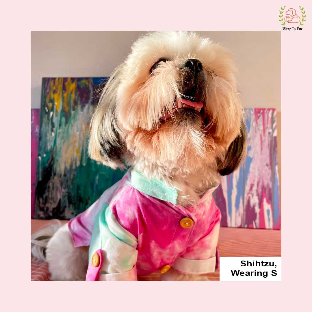 Shihtzu Pink ombre dog kurta