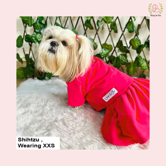 Shihtzu Pink winter dog frock