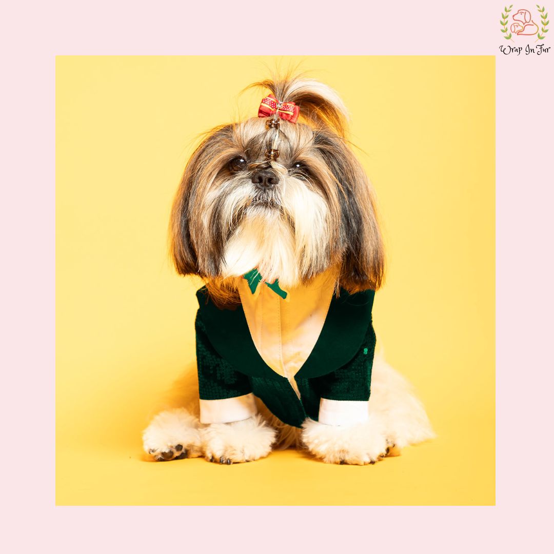 Shihtzu dog Green tuxedo for dog
