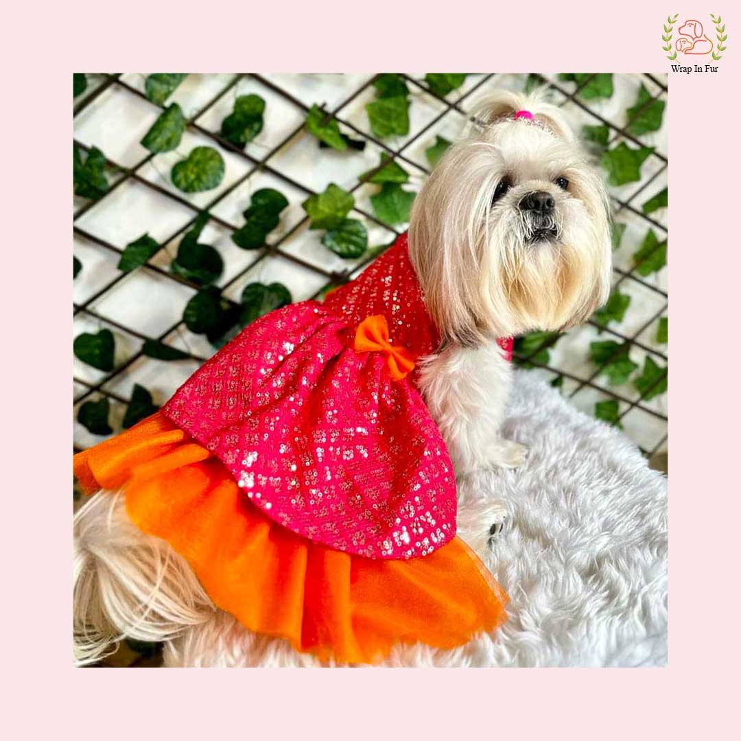 Shihtzu dog Pink Orange ChakaChak Frock