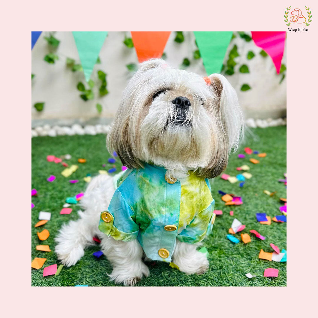 Shihtzu dog green ombre kurta