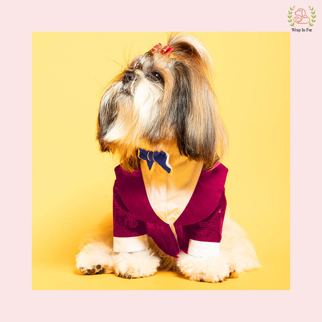 Shihtzu pink tuxedo for dog wedding in India