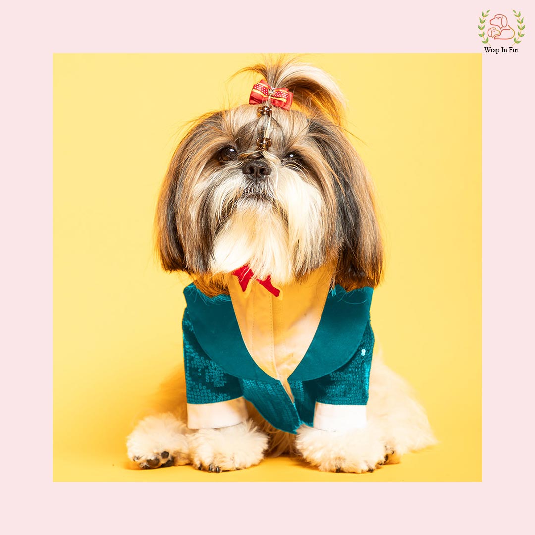 Shihtzu bling dog tuxedo