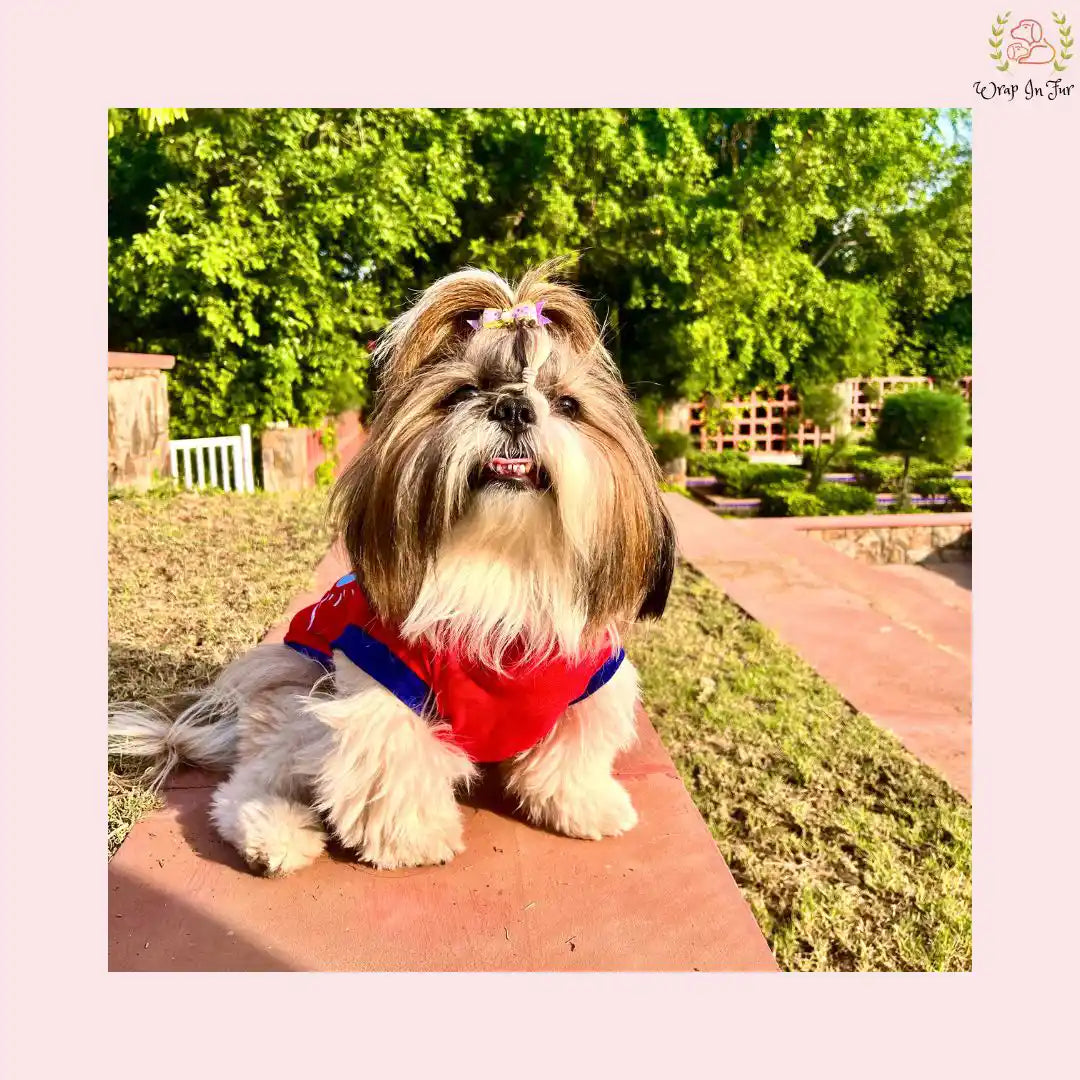 Shihtzu dog tshirt