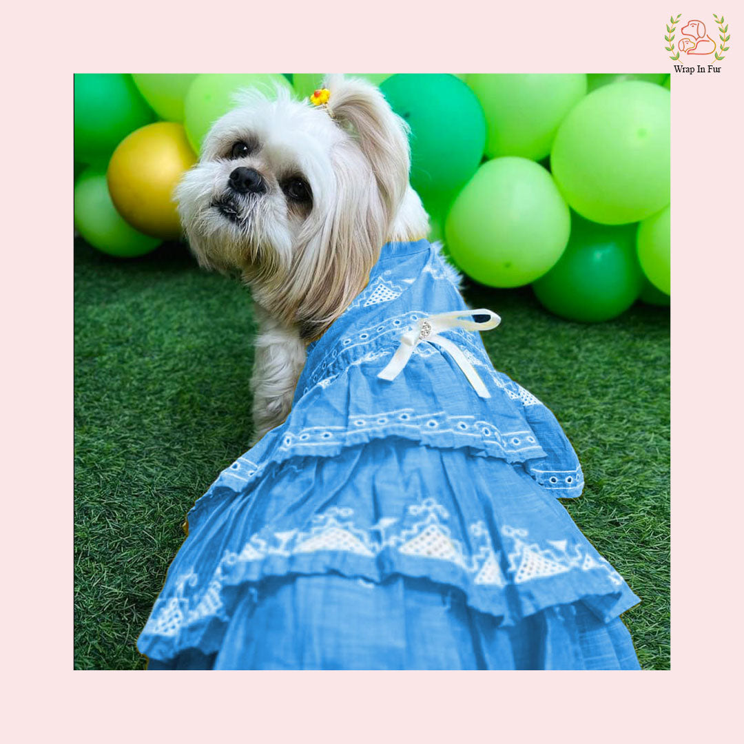 Sky Blue Embroidered Dog Princess Dress - Tiered Ruffle Party Frock