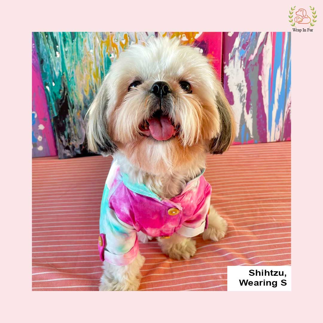 Small dog pink ombre kurta