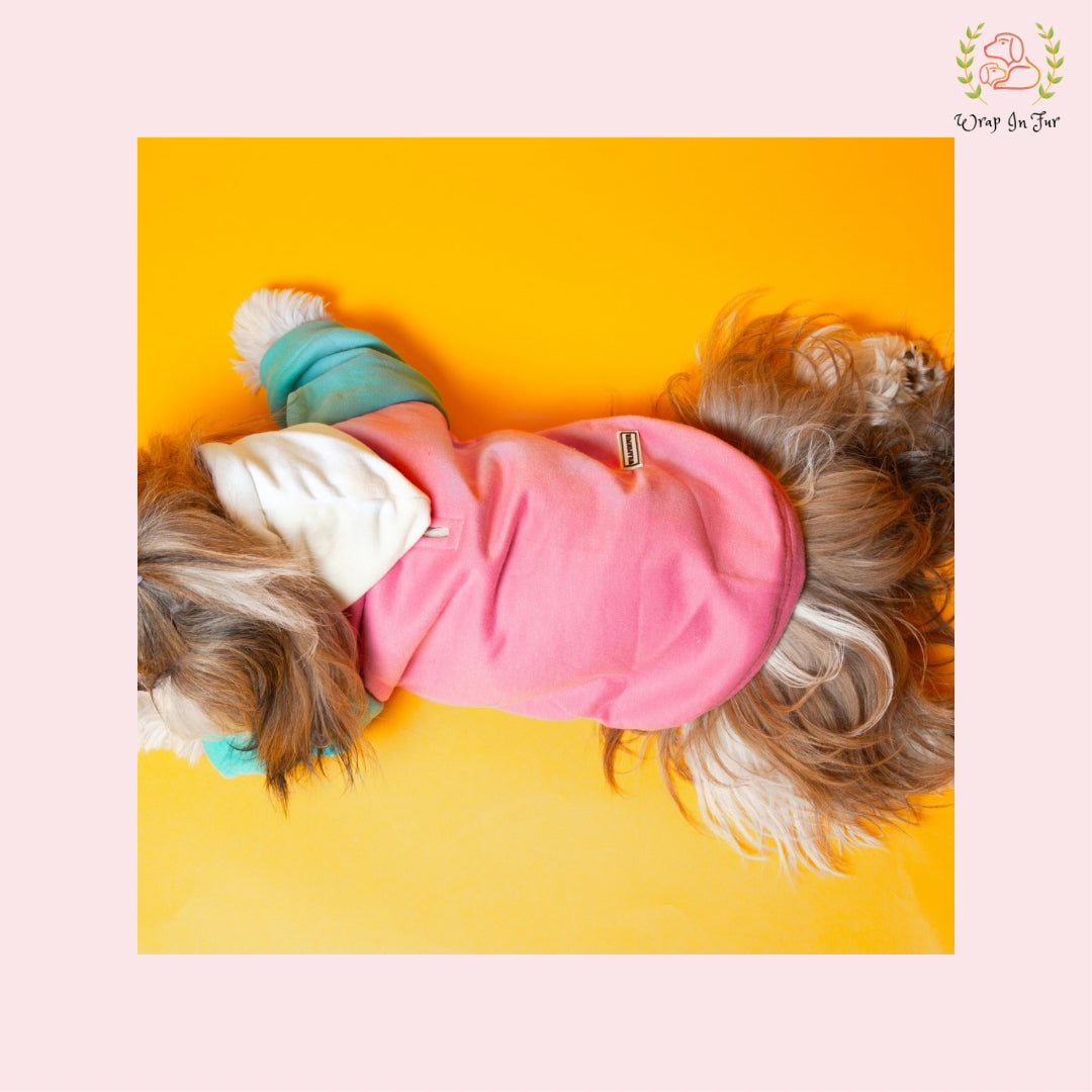 Soft Pastel Dog Hoodie – Warm & Cute Winter Wear