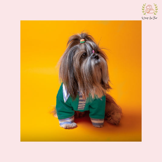 Stylish Green Dog Polo Shirt: Cozy Winter Wear for All Breeds