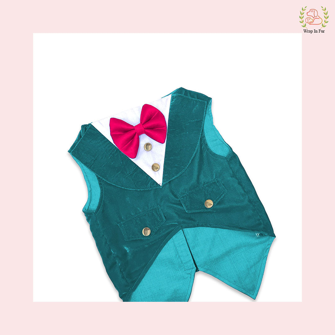 Teal velvet tuxedo for dog