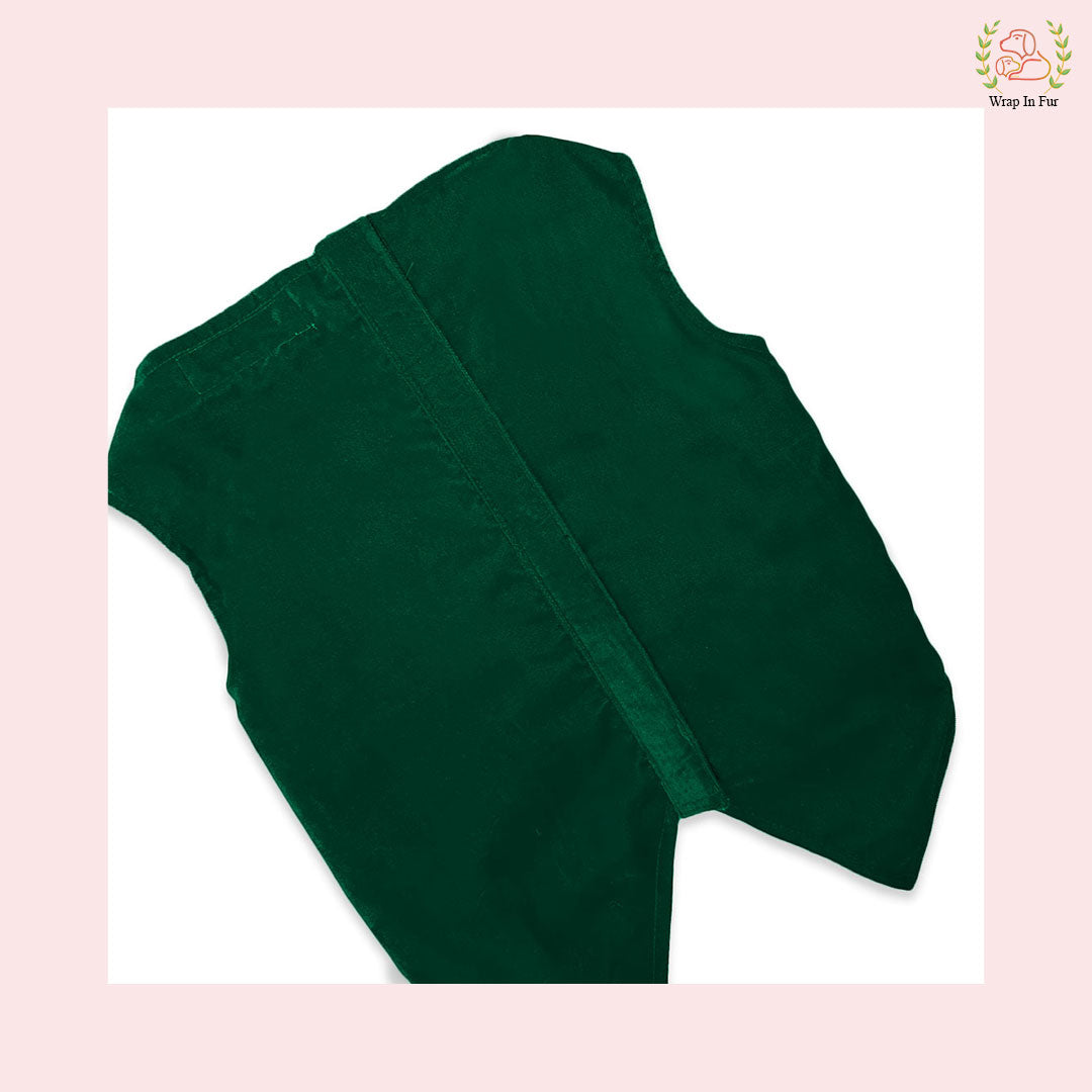 Velvet green dog tuxedo