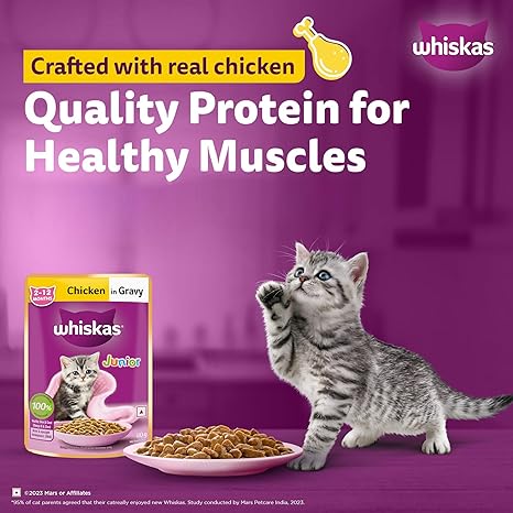 Whiskas Junior Chicken In Gravy Pouch 80g