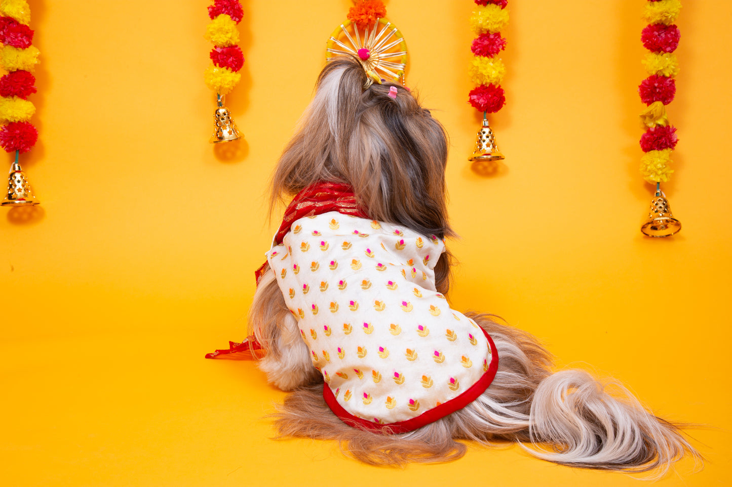 White & Red Royal Dog Kurta - Elegant Indian Dog Ethnic Wear Dress