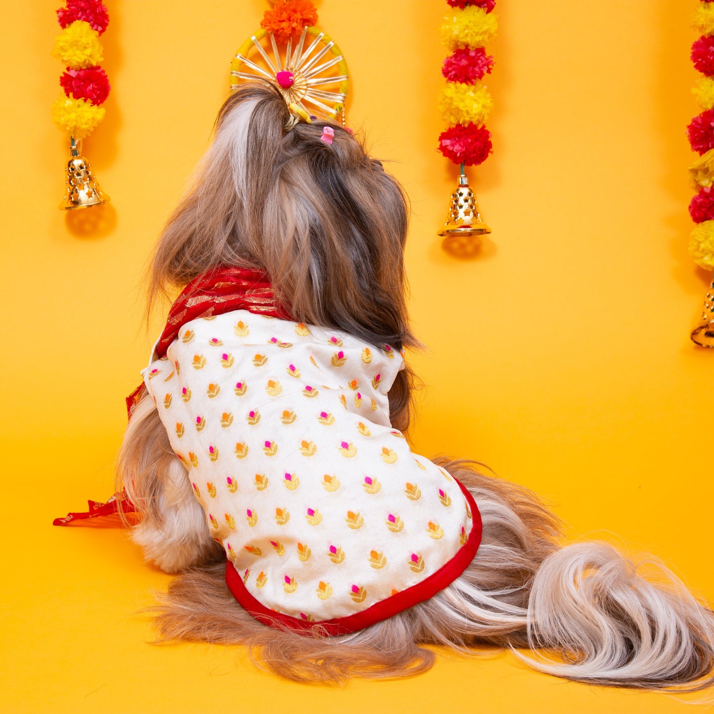 White & Red Royal Dog Kurta - Elegant Indian Dog Ethnic Wear Dress