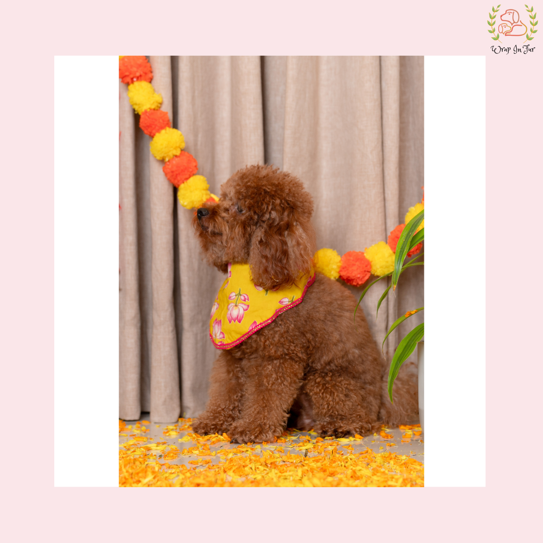 Yellow Lotus Desi Dog Bandana