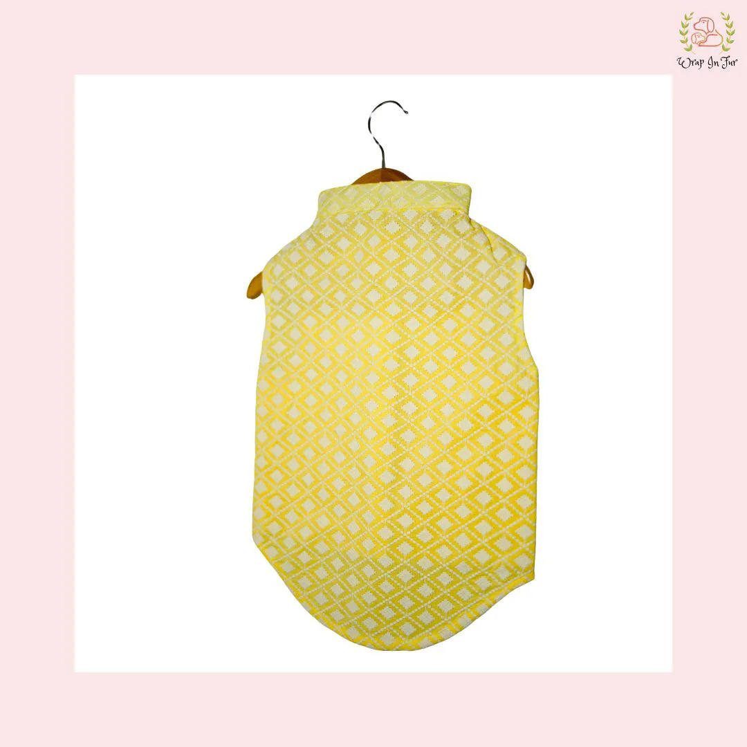Yellow Nawab dog Kurta for fuction