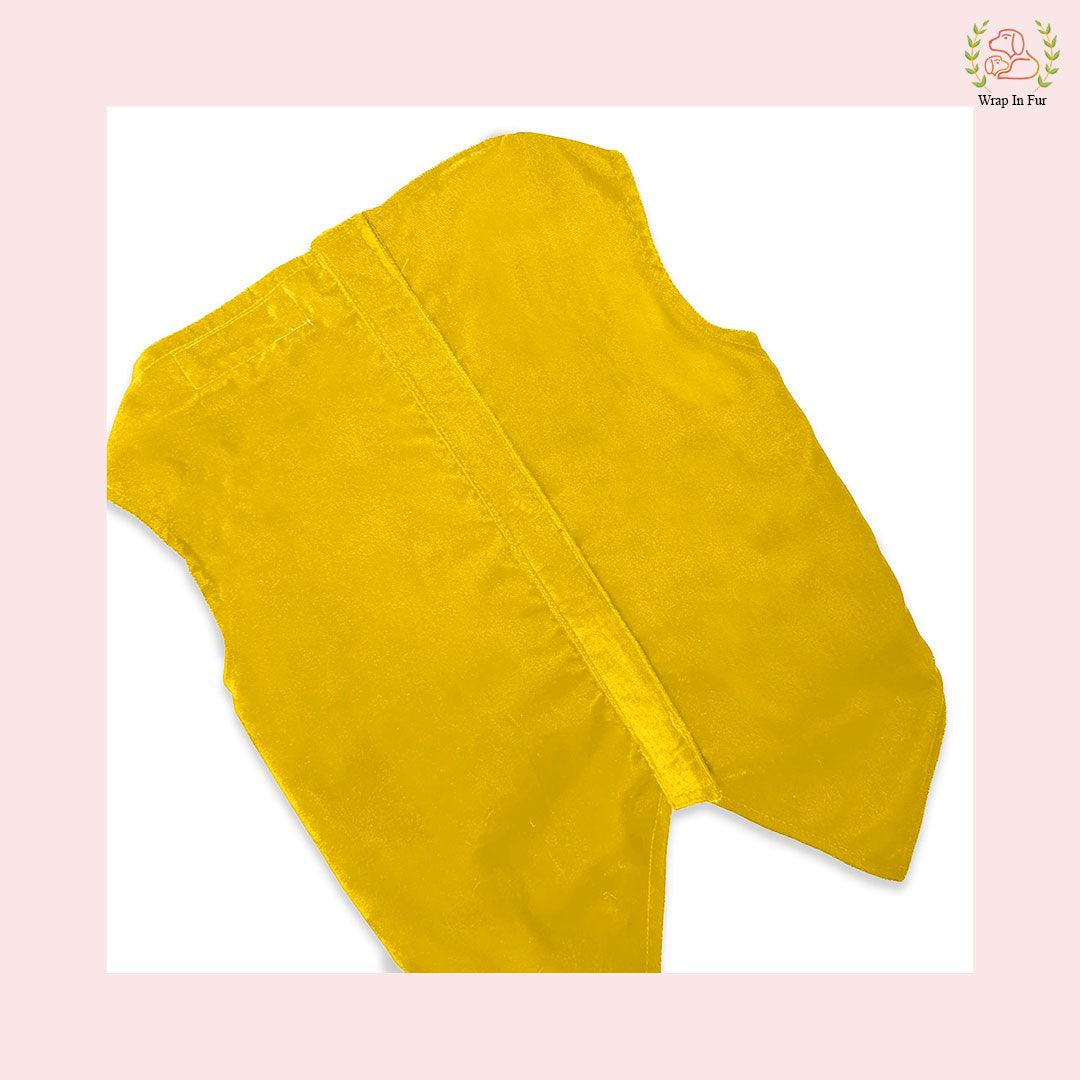 Yellow Velvet dog tuxedo for dog