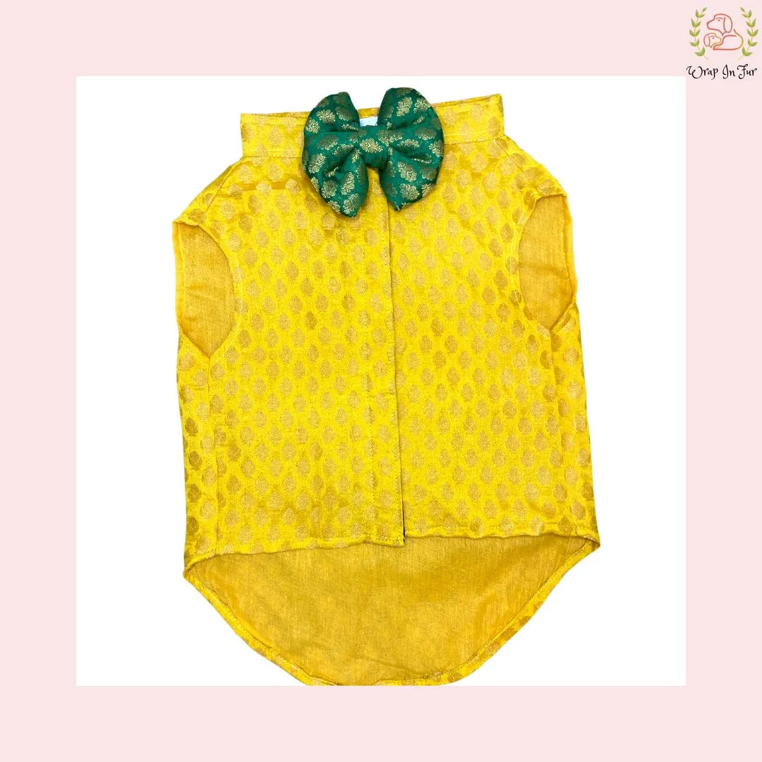 Yellow Dog Sherwani for Wedding | Haldi Ceremony Dog Outfit  Wrapinfur