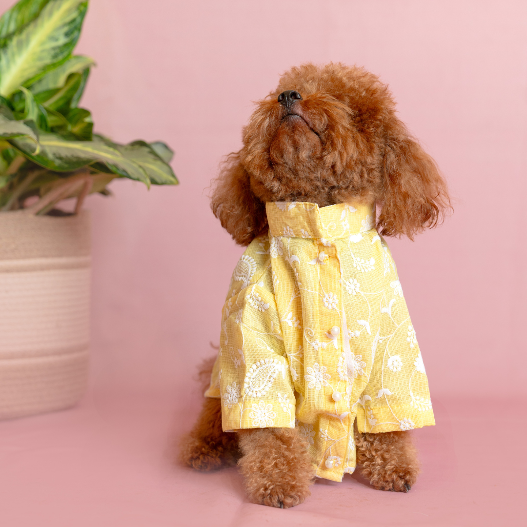 Yellow Floral Dog Kurta - Elegant Indian Dog Ethnic Wear Dress