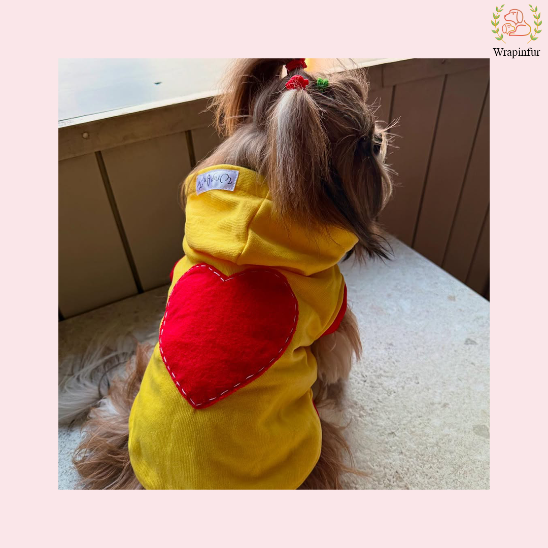 Yellow Love Sweatshirt – Warm & Stylish Pet Hoodie