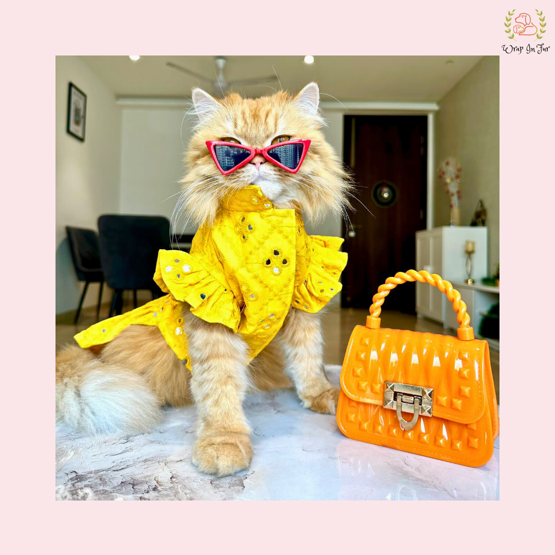 Yellow Mirror Frock Dog Wedding Dress – Designer Bridal Outfit for Pets