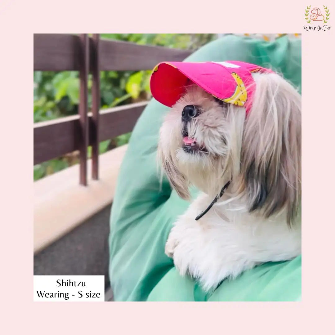 banana dog cap for shihtzu