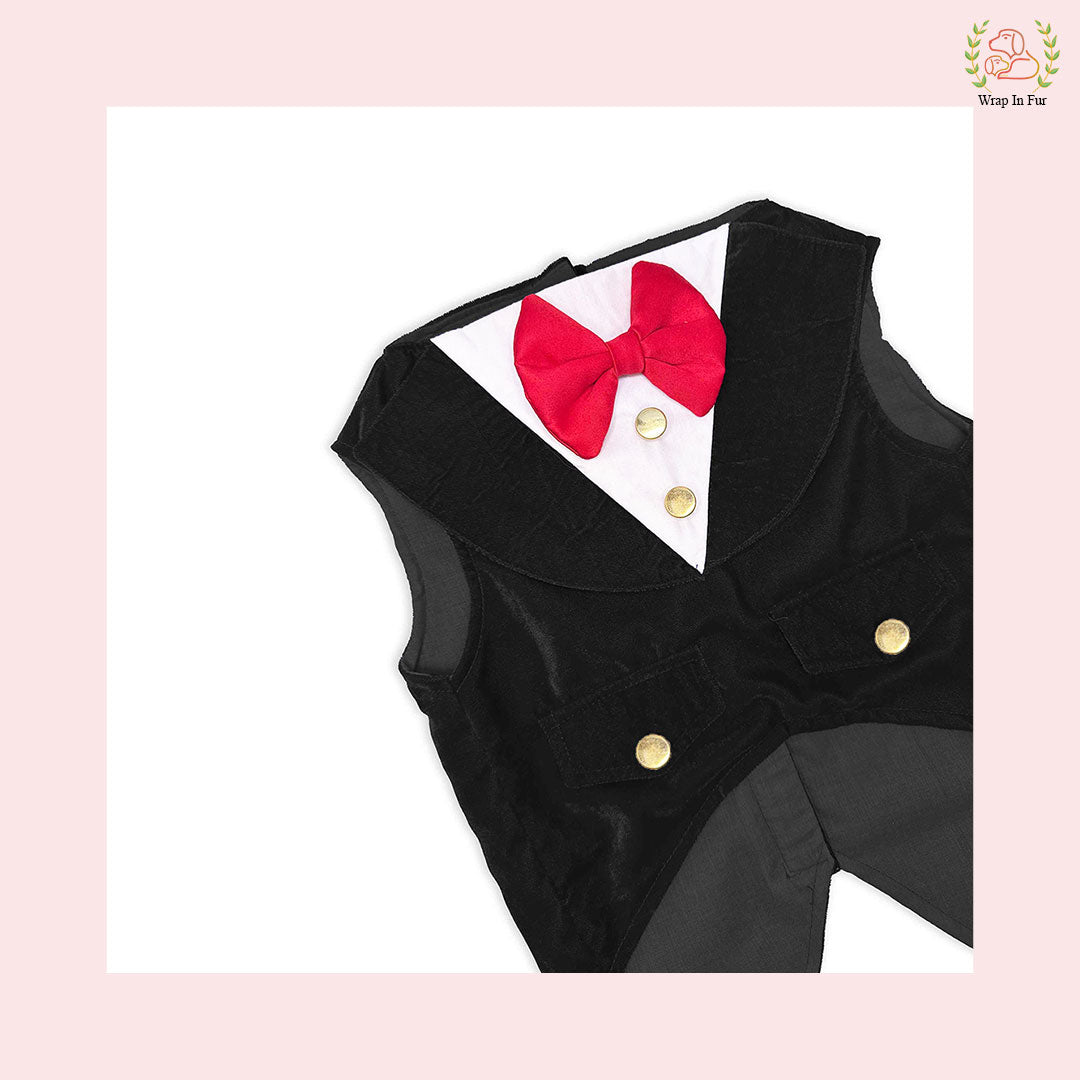 black velvet dog tuxedo with red bow
