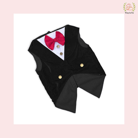black velvet tuxedo for dog