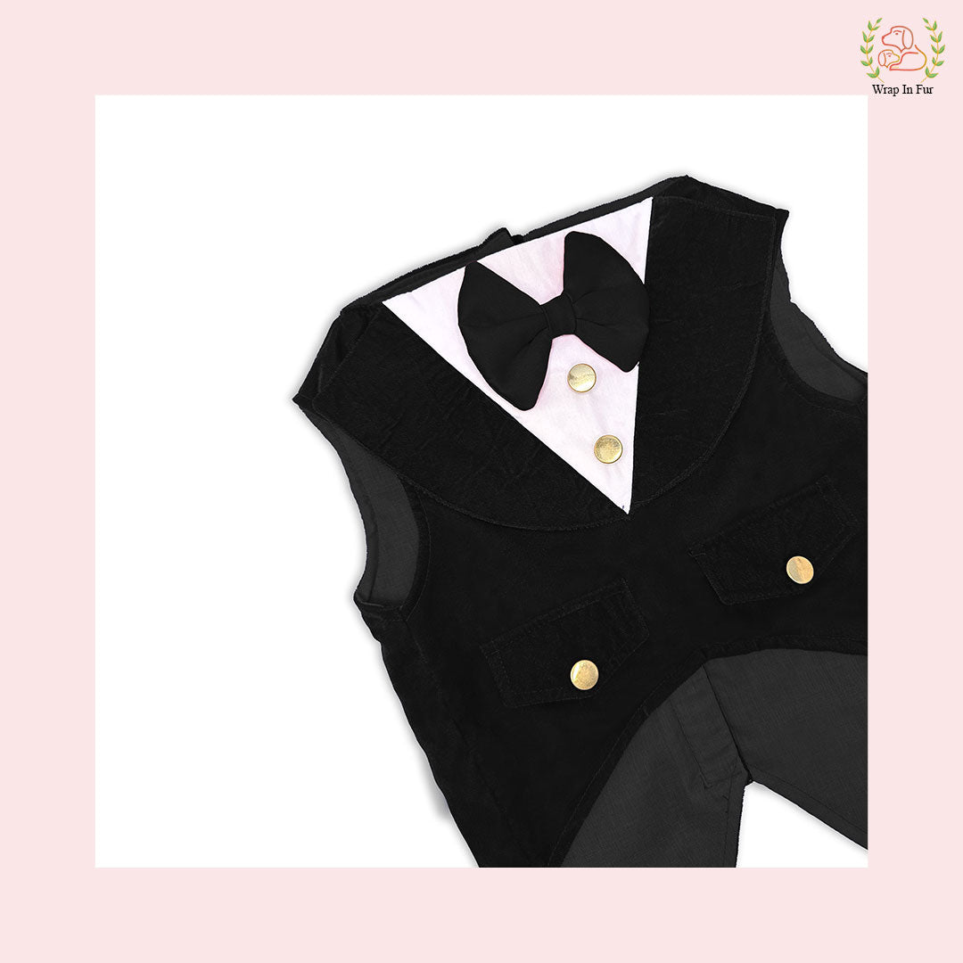 black velvet tuxedo for dogs