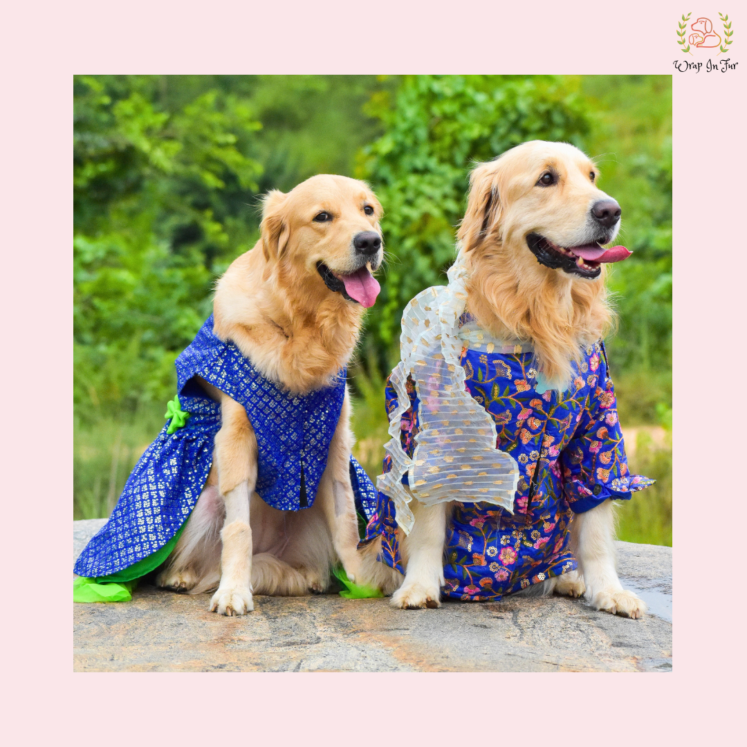 Blue Green ChakaChak Frock