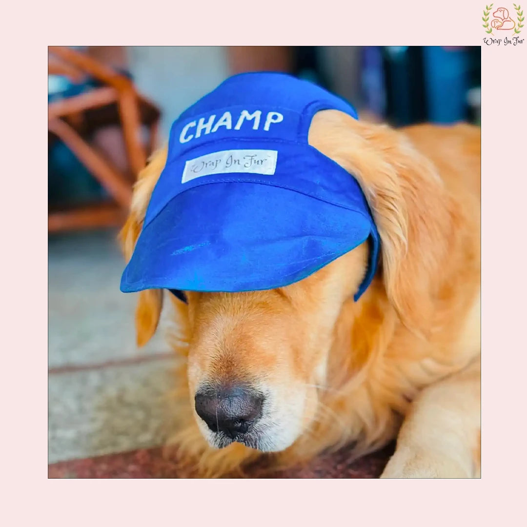 blue dog cap with name