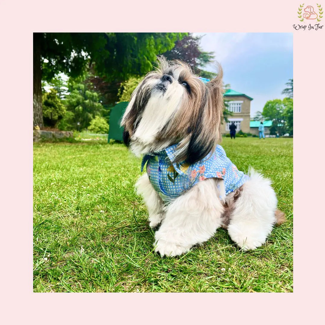 butterfy cut sleeves dog dog shirt