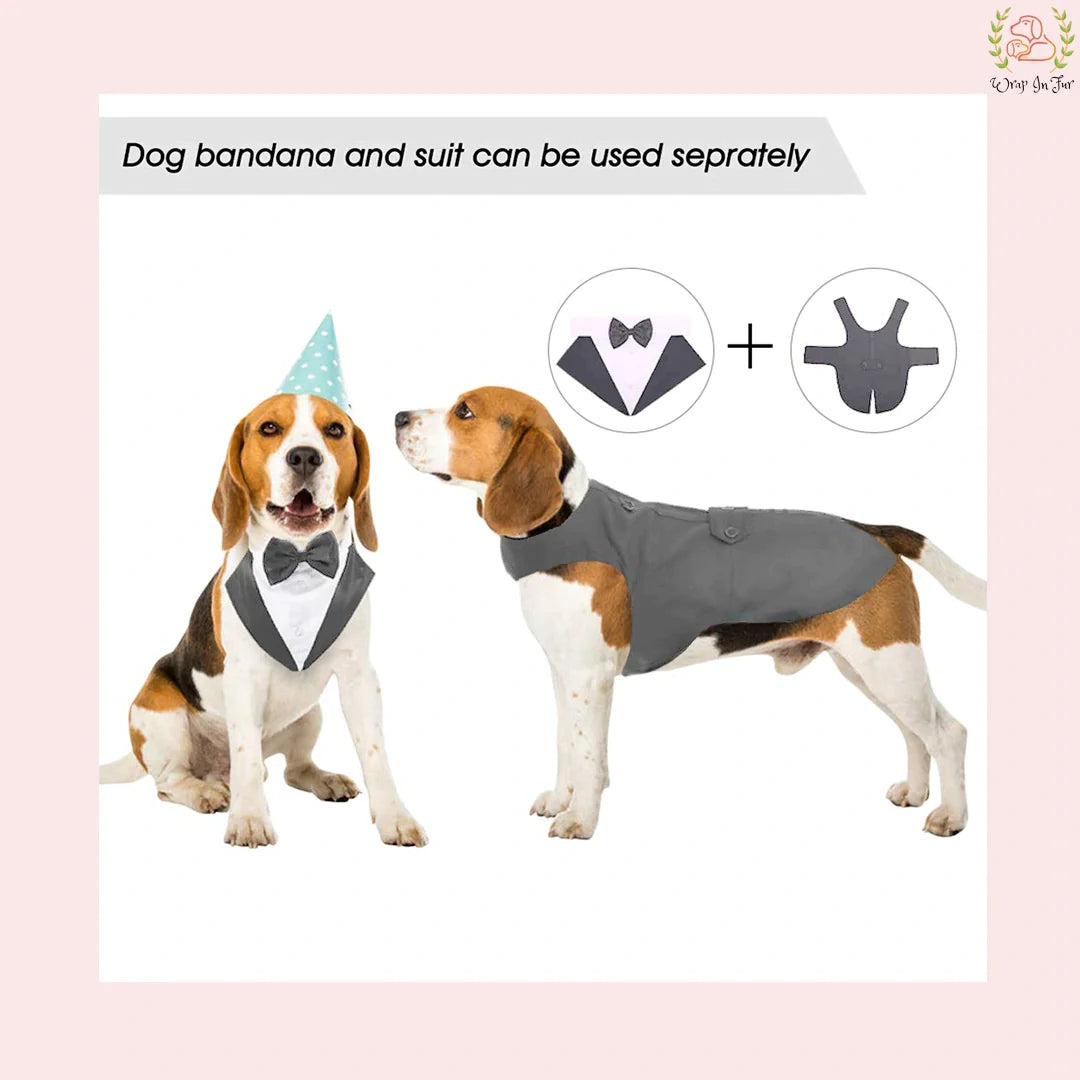 buy grey cape dog tuxedo suit for wedding